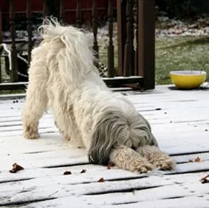 Winter yoga practice